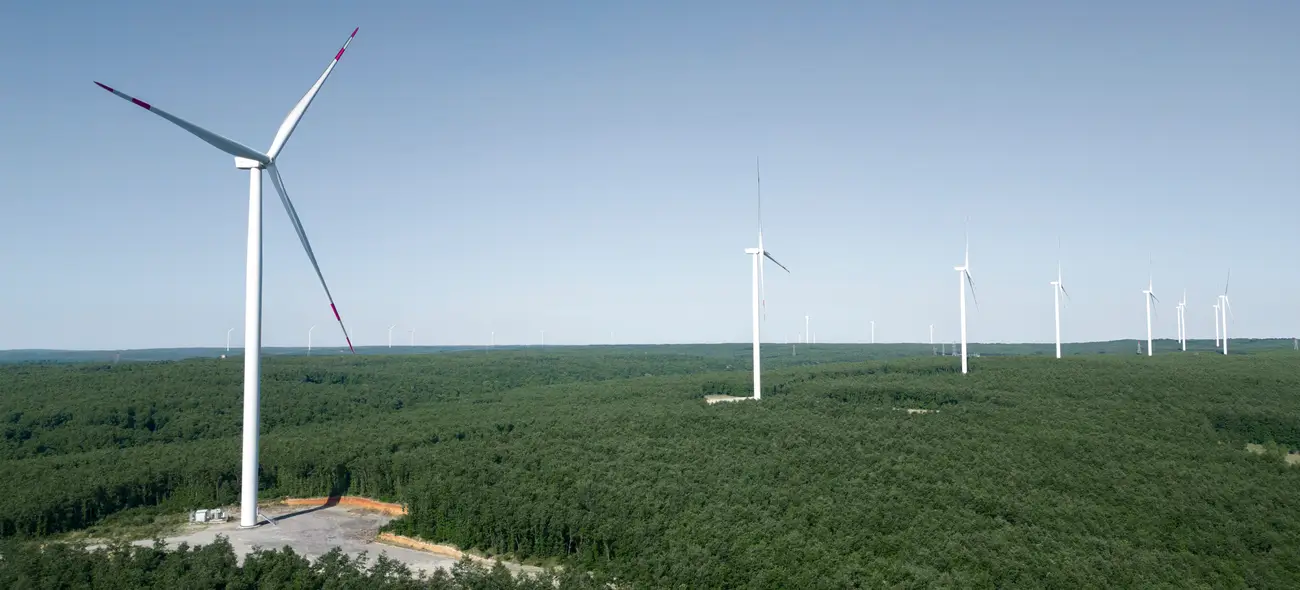 Windenergie im Wald – Chancen, Risiken und Herausforderungen für Waldbesitzer Windräder ziehen sich durch eine bewaldete Landschaft, vorne Zugangsweg zur Anlage.
