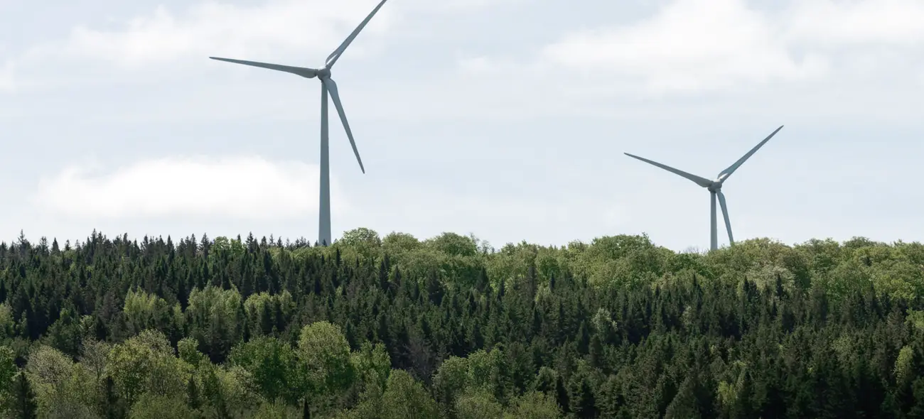 Windenergie im Wald durch Flächenverpachtung Windenergieanlagen im Wald bei Sonnenlicht.
