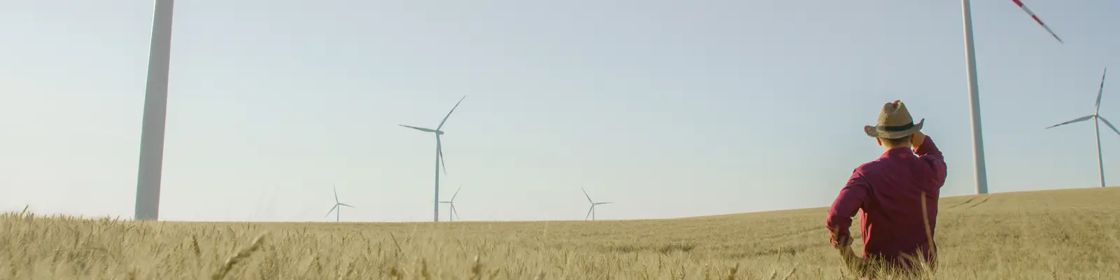 Person steht auf einem Feld mit Windkraftanlagen im Hintergrund. Person steht auf einem Feld mit Windkraftanlagen im Hintergrund.