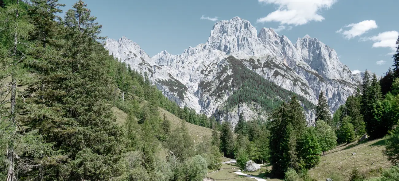 Windenergie in Bayern Blick auf die bayerische Alpenlandschaft mit Wäldern, schneebedeckten Gipfeln und Himmel.