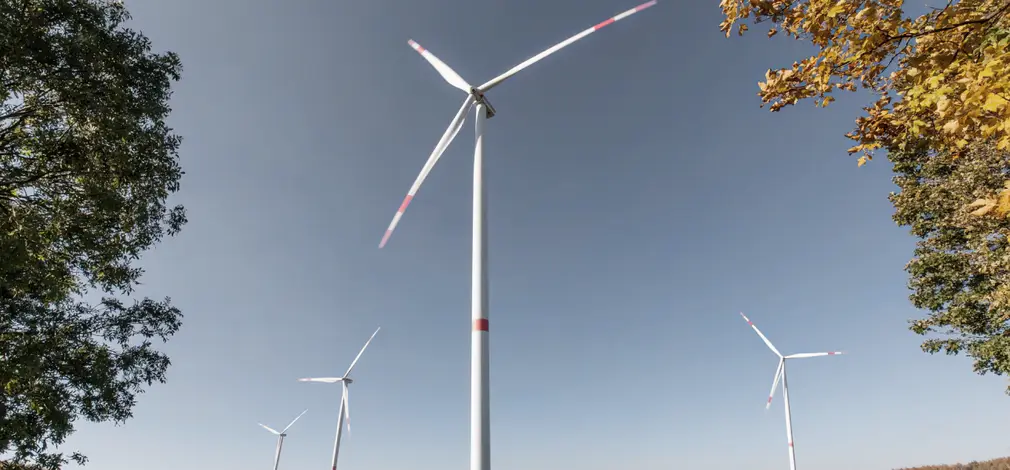 Windräder und Bäume eines Flächenpooling-Projekts aus der Froschperspektive.