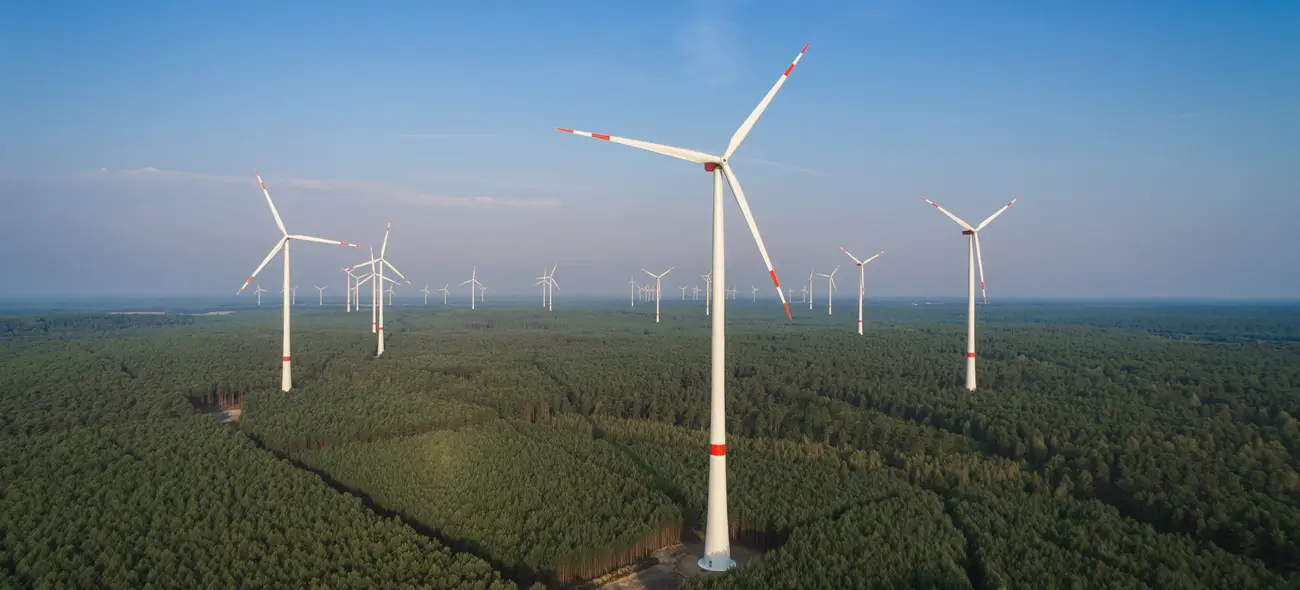 Windpark mit mehreren Windrädern ragt aus ausgedehntem Waldgebiet bei blauem Himmel. Windpark mit mehreren Windrädern ragt aus ausgedehntem Waldgebiet bei blauem Himmel.