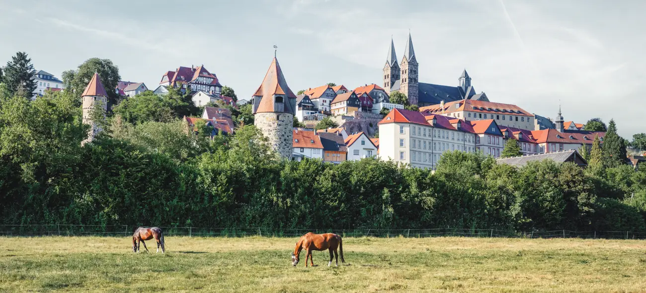 Mittelalterliche Burg in Hessen, umgeben von Häusern, Feldern, Bäumen und zwei Pferden.
